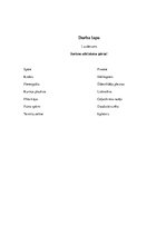 Konspekts 'Stundas konspekts 3.klasei dabaszinībās. Gofrētās struktūras', 7.