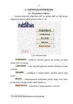 Referāts 'Ātrrakstīšanas instrukcija', 12.