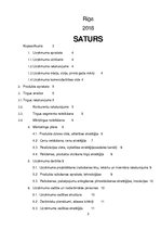 Biznesa plāns 'Biznesa plāns', 2.