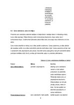 Biznesa plāns 'Biznesa plāns', 9.