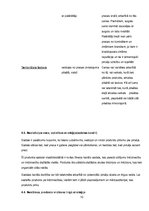 Biznesa plāns 'Biznesa plāns', 10.