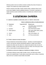 Biznesa plāns 'Biznesa plāns', 11.