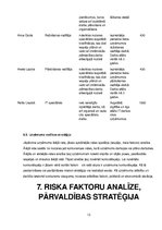 Biznesa plāns 'Biznesa plāns', 13.