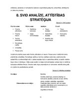 Biznesa plāns 'Biznesa plāns', 15.