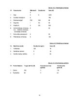 Biznesa plāns 'Biznesa plāns', 18.