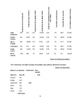 Biznesa plāns 'Biznesa plāns', 19.