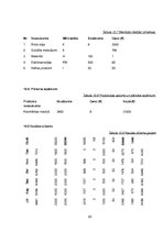 Biznesa plāns 'Biznesa plāns', 20.