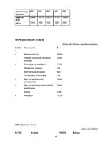 Biznesa plāns 'Biznesa plāns', 22.