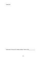 Biznesa plāns 'Biznesa plāns', 30.