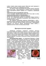 Referāts 'Современные боевые средства и их поражающие факторы', 11.