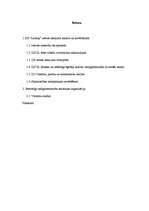 Konspekts 'Starpsaimniecības zemes ierīcība', 1.