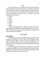 Referāts 'Starppersonu saskarsme - balss, runa', 2.