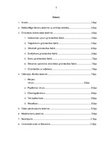 Referāts 'Nelabvēlīgo faktoru ietekme uz embrija attīstību', 2.