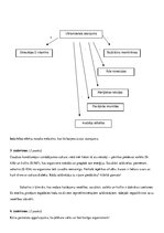 Paraugs 'Vides faktoru ietekme uz cilvēka organismu', 2.