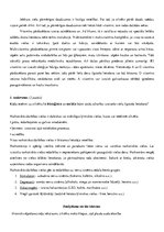 Paraugs 'Vides faktoru ietekme uz cilvēka organismu', 3.