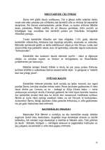 Referāts 'Šartras katedrāle', 10.