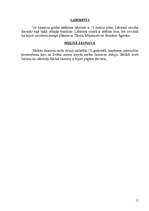 Referāts 'Šartras katedrāle', 11.