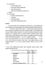 Referāts 'Pirmsskolas vecuma bērnu sociālo prasmju saistība ar mātes pašefektivitātes izjū', 20.