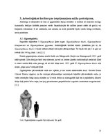 Referāts 'Mītisko būtņu prototipi realitātē', 10.