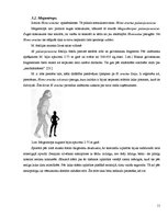Referāts 'Mītisko būtņu prototipi realitātē', 11.