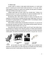 Referāts 'Mītisko būtņu prototipi realitātē', 17.