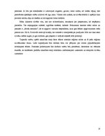 Referāts 'Mītisko būtņu prototipi realitātē', 19.