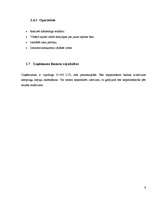 Biznesa plāns '”SIA Taimiņš” - atpūtas kompleksa veidošana', 9.