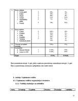 Biznesa plāns '”SIA Taimiņš” - atpūtas kompleksa veidošana', 23.