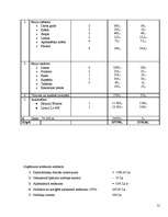 Biznesa plāns '”SIA Taimiņš” - atpūtas kompleksa veidošana', 31.