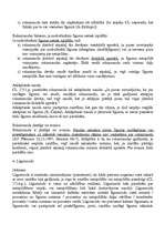 Referāts 'Saistību pastiprinošie līdzekļi', 6.