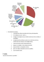 Referāts 'Biznesa ideja - a/s "Atkritumu šķirošana un pārstrāde"', 9.
