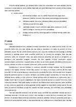 Referāts 'Biznesa ideja - a/s "Atkritumu šķirošana un pārstrāde"', 10.