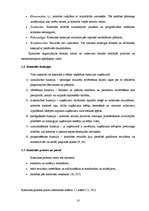 Diplomdarbs 'Iekšējās kontroles pilnveides iespējas', 8.