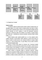 Diplomdarbs 'Iekšējās kontroles pilnveides iespējas', 9.