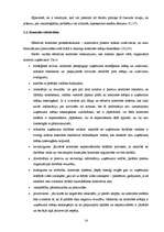 Diplomdarbs 'Iekšējās kontroles pilnveides iespējas', 12.