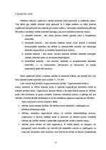 Diplomdarbs 'Iekšējās kontroles pilnveides iespējas', 16.