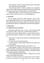 Diplomdarbs 'Iekšējās kontroles pilnveides iespējas', 17.