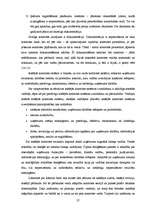 Diplomdarbs 'Iekšējās kontroles pilnveides iespējas', 25.
