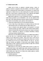 Diplomdarbs 'Iekšējās kontroles pilnveides iespējas', 39.