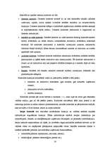 Diplomdarbs 'Iekšējās kontroles pilnveides iespējas', 54.