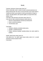 Referāts 'Salīdzinājumi I.Baueres romānā "Skolas Līze"', 5.
