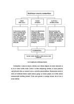 Referāts 'Darbaspēks', 13.