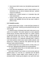 Referāts 'Darbaspēks', 19.