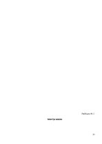 Referāts 'Māsas loma pašaprūpes veicināšanā pēc gūžas kaula kakliņa lūzuma', 31.