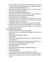 Referāts 'Latvijas Republikas nodokļu sistēma', 17.