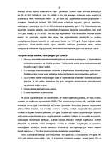 Referāts 'Dienvidaustrumu Āzijas finanšu krīze', 9.