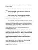 Konspekts 'Mazākuma mediji', 4.