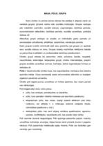 Konspekts 'Masa, pūlis, grupa', 1.