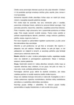 Konspekts 'Masa, pūlis, grupa', 2.