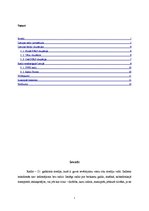 Referāts 'Latvijas Radio vēsture', 1.